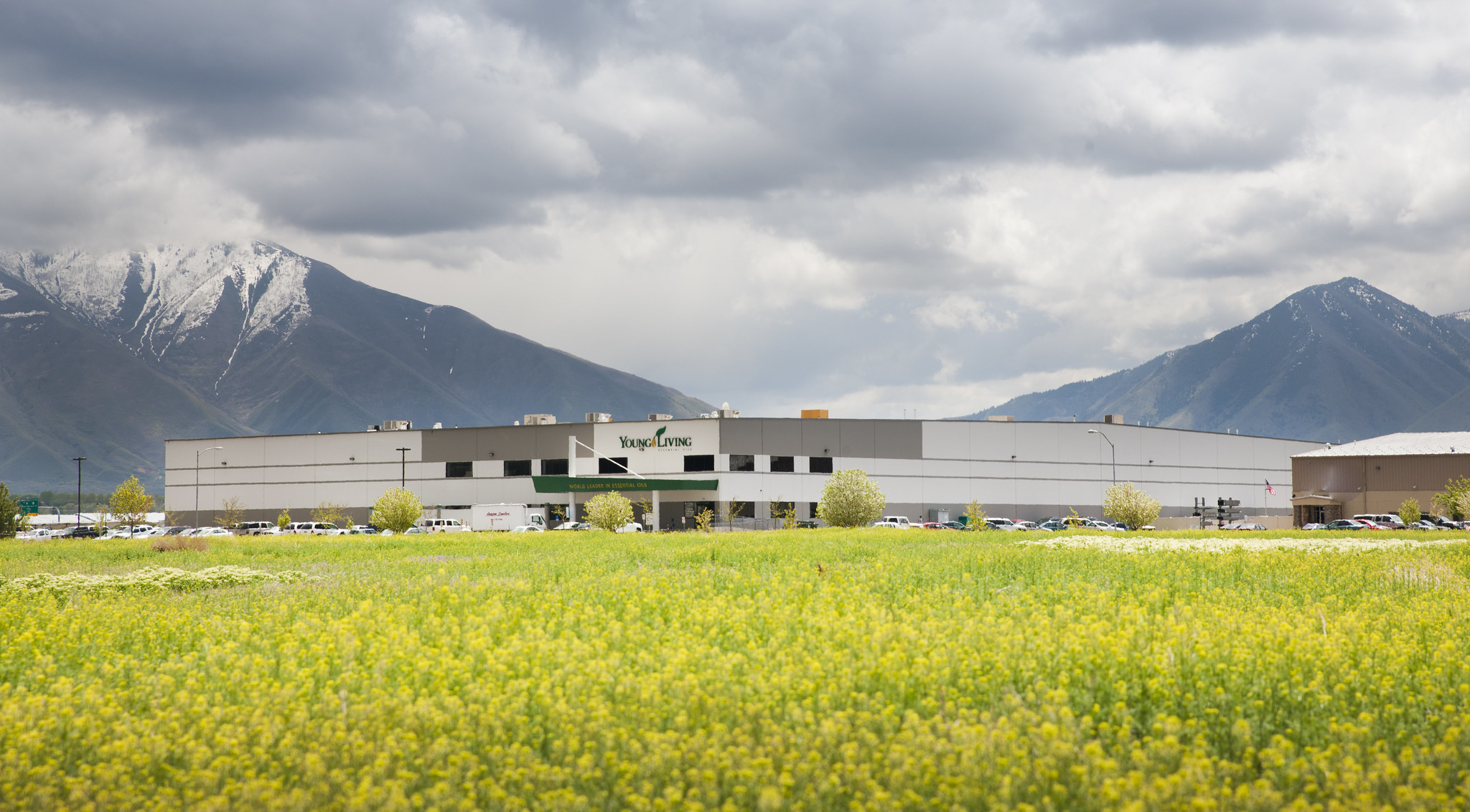 Young Living Global Farms