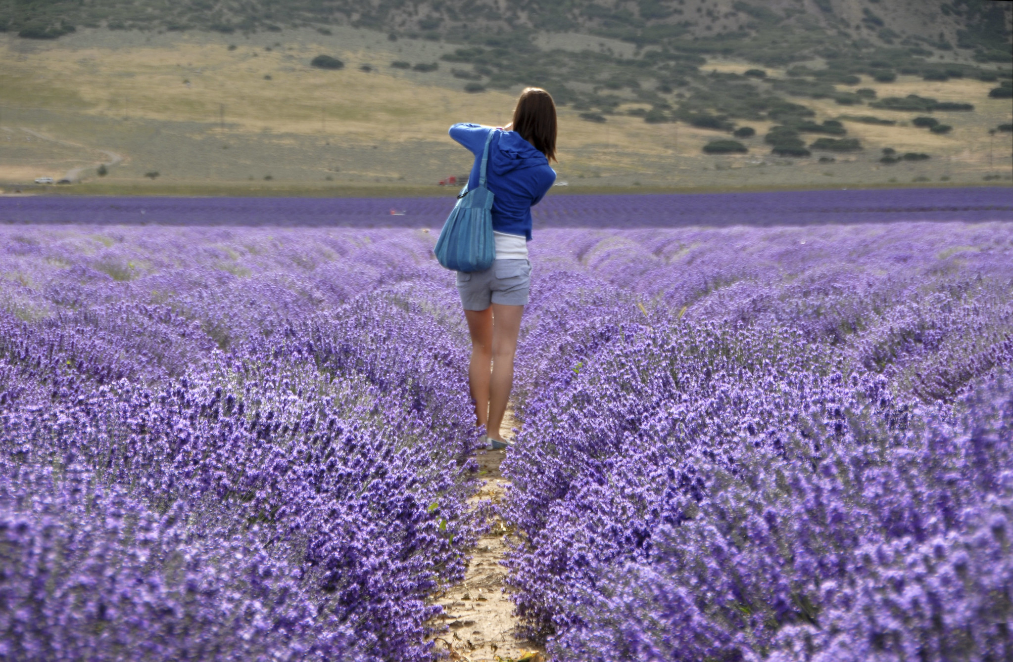 Young Living Global Farms