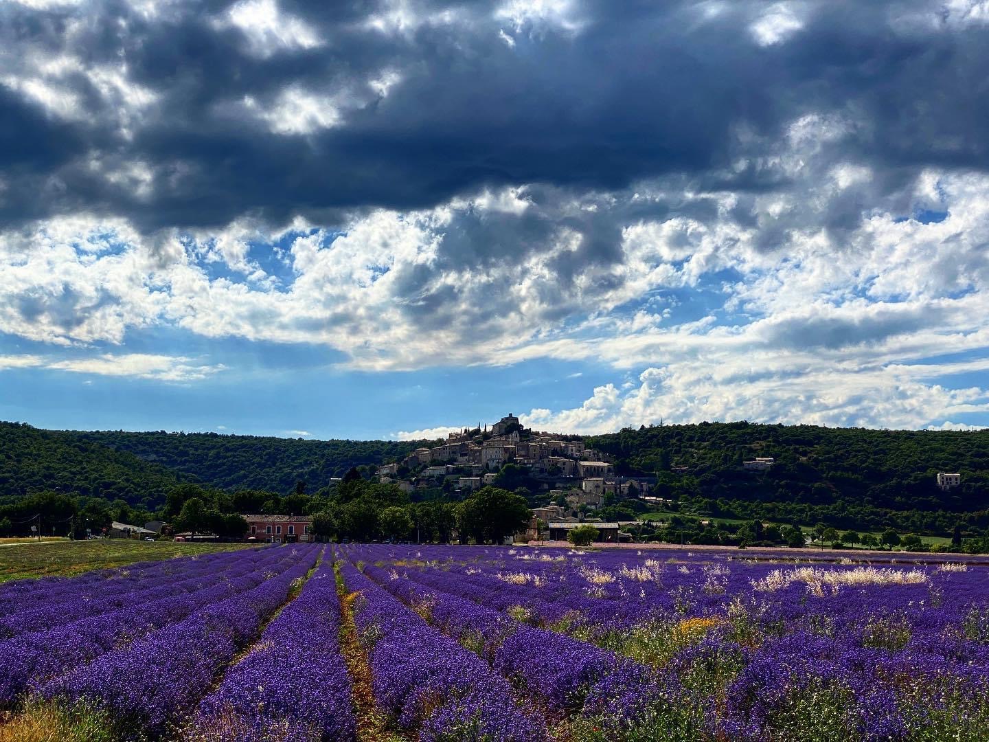 Young Living Global Farms