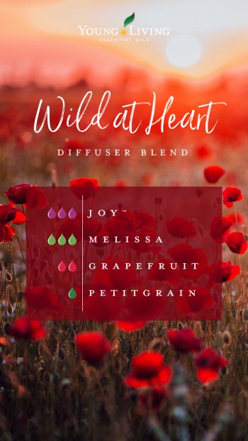 Romance-in-the-air-5-blends-you-have-to-try_Wild-at-Heart