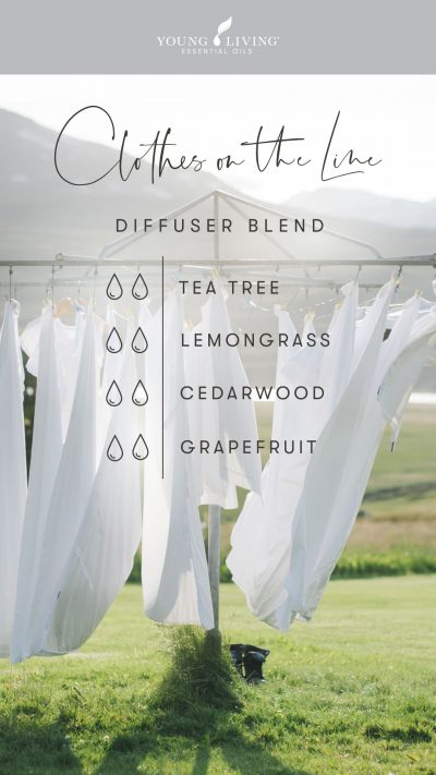 Squeaky-clean-scents-7-diffuser-blends-to-fake-a-clean-house_Sea-Air-Diffuser-Blend