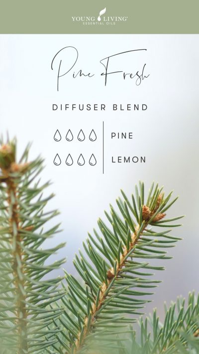 Squeaky-clean-scents-7-diffuser-blends-to-fake-a-clean-house_Sea-Air-Diffuser-Blend