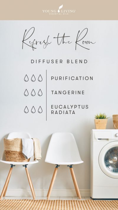 Squeaky-clean-scents-7-diffuser-blends-to-fake-a-clean-house_Sea-Air-Diffuser-Blend