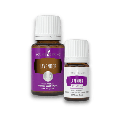 Lavender