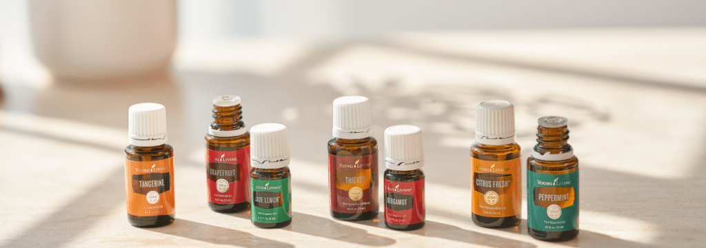 ภาพประกอบเนื้อหา รีวิว Young Living Essential Rewards คืออะไร? ทำไมใครๆก็ว่าดี!? รีวิว YoungLiving Essential Rewards
