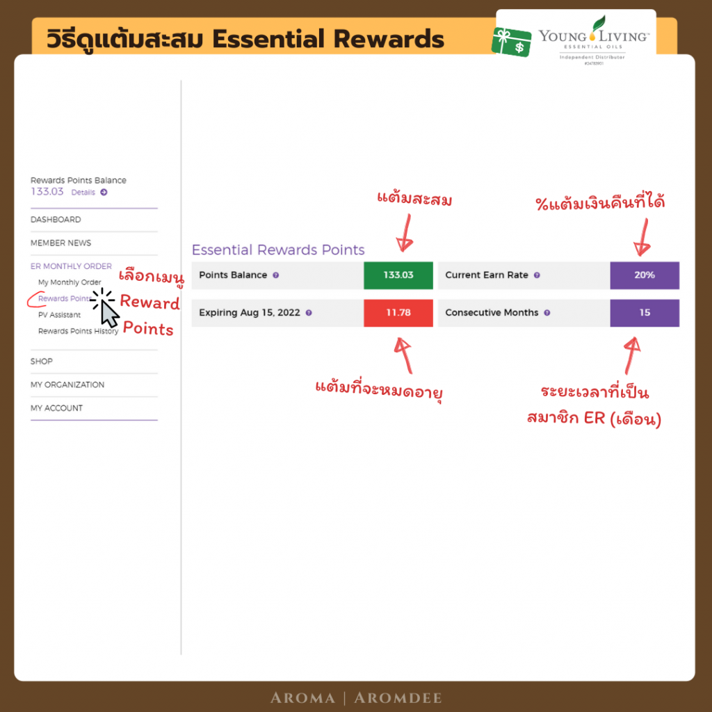 yl-reward-points