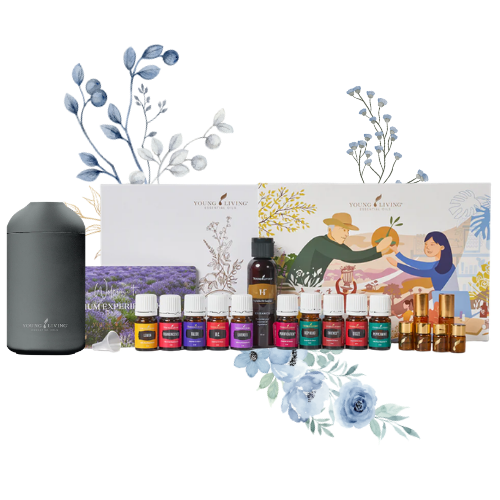 เซตน้ำมันหอมระเหย Young Living